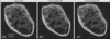 [Figure 7]