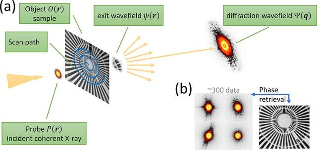 [Figure 1]