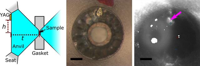 [Figure 3]