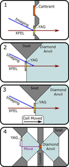 [Figure 4]
