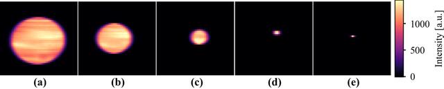[Figure 5]