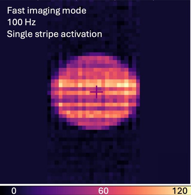 [Figure 8]