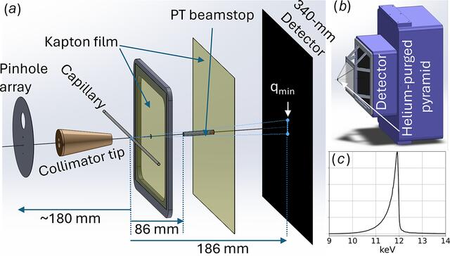 [Figure 1]