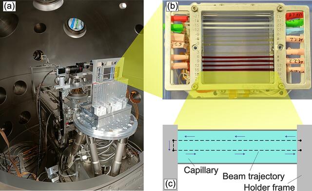 [Figure 1]