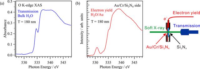 [Figure 3]