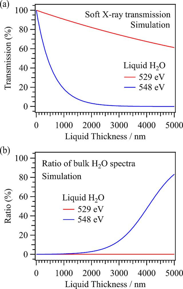 [Figure 6]
