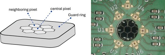[Figure 1]