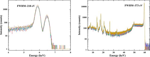 [Figure 4]