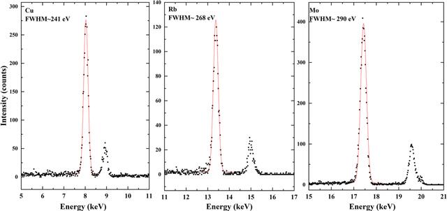 [Figure 6]