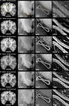 [Figure 1]
