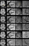 [Figure 3]