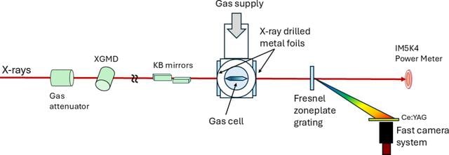 [Figure 1]