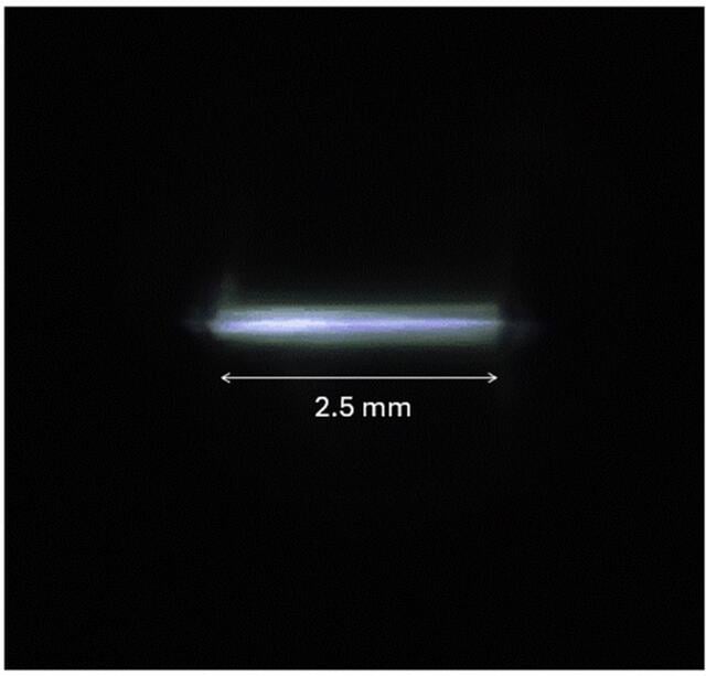 [Figure 2]