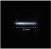 [Figure 2]