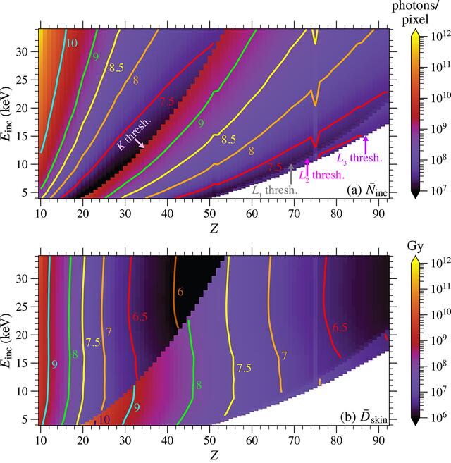 [Figure 1]