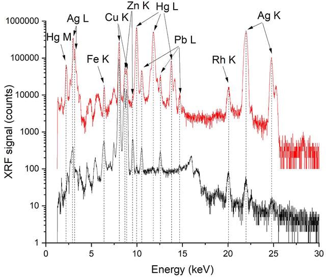 [Figure 5]