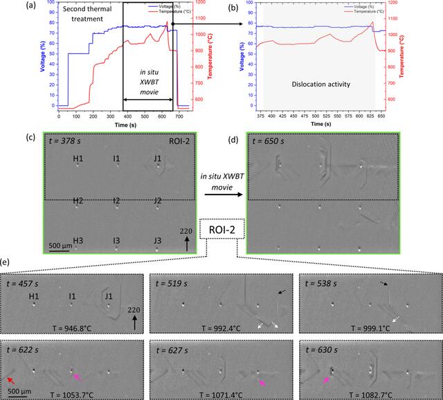 [Figure 10]