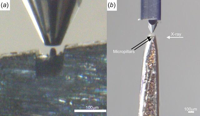 [Figure 4]