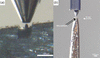 [Figure 4]