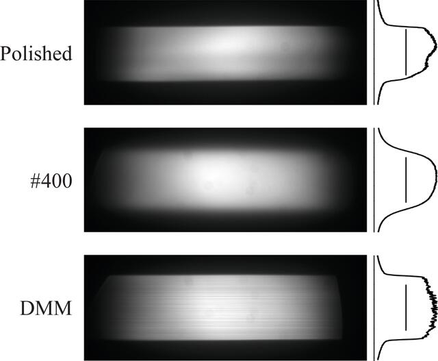 [Figure 6]