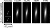[Figure 7]