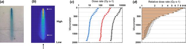 [Figure 4]