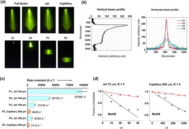 [Figure 5]