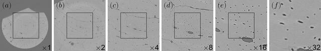 [Figure 4]