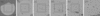 [Figure 4]