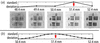 [Figure 2]