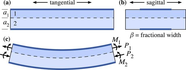 [Figure 1]