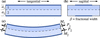 [Figure 1]