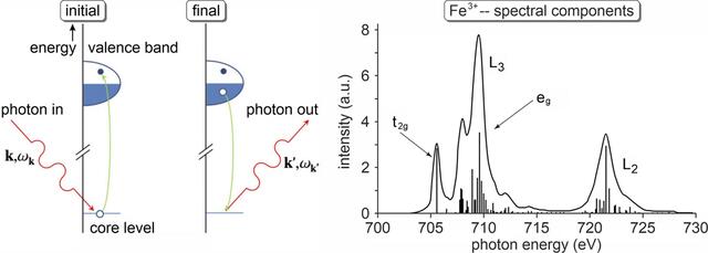 [Figure 1]