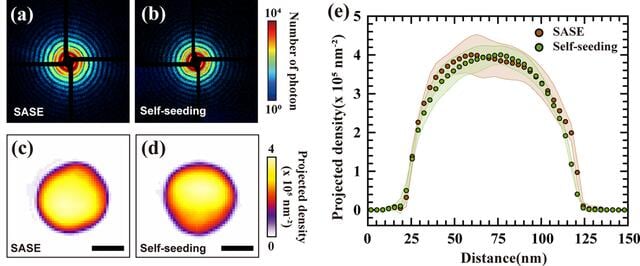 [Figure 2]