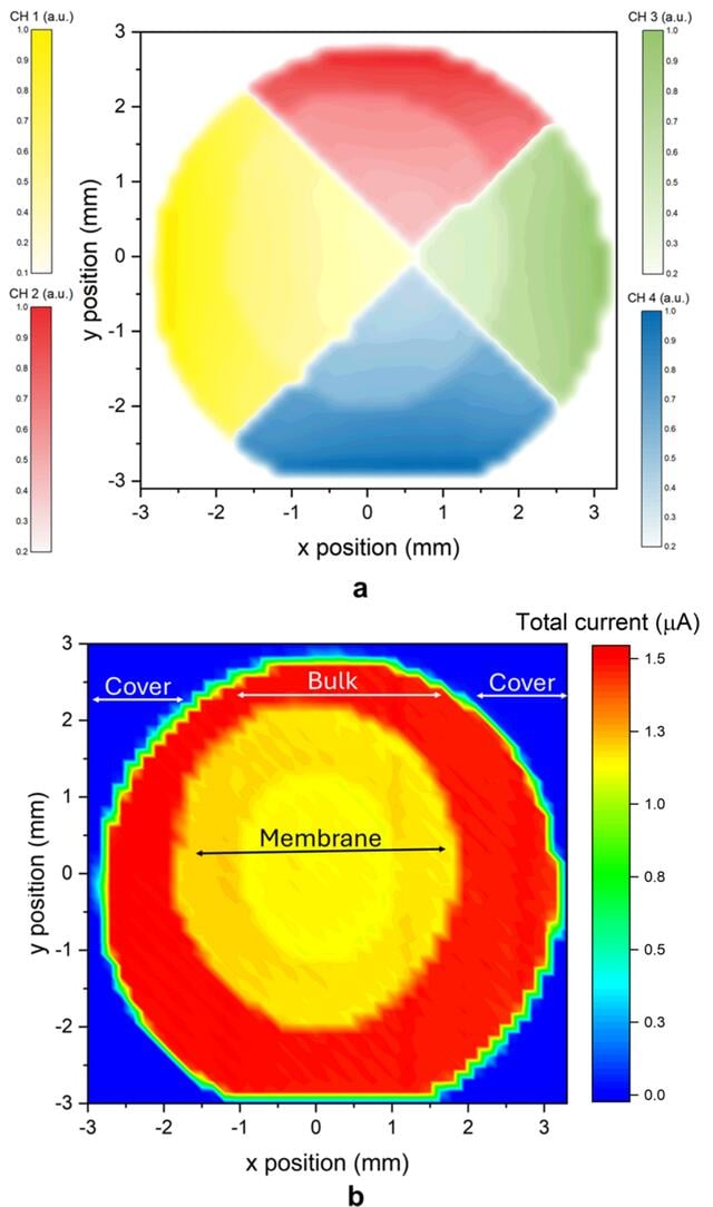 [Figure 4]
