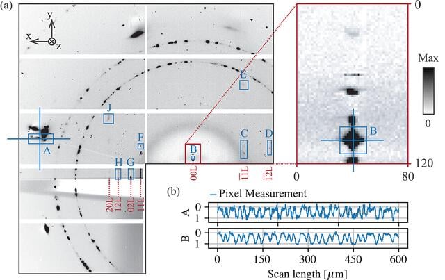 [Figure 3]