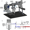 [Figure 1]