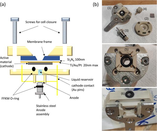 [Figure 6]