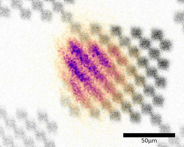 [Figure 7]