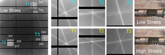 [Figure 10]