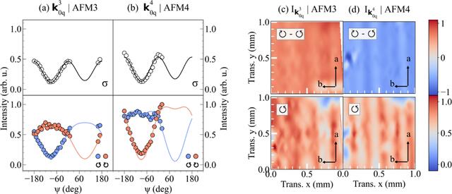 [Figure 6]