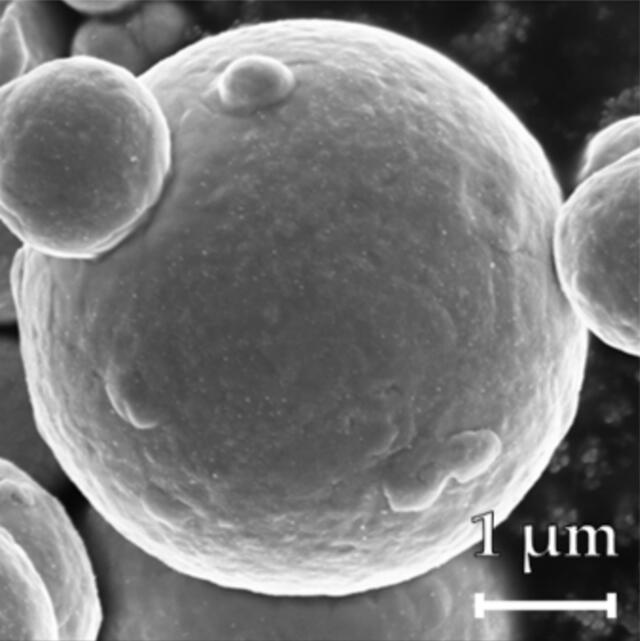 [Figure 1]