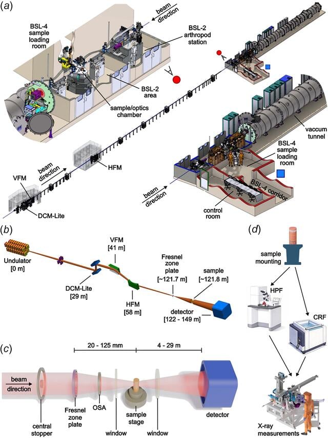 [Figure 3]