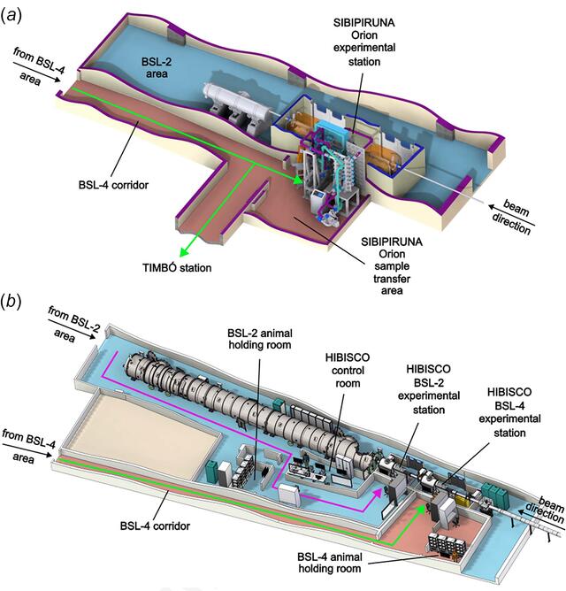 [Figure 5]