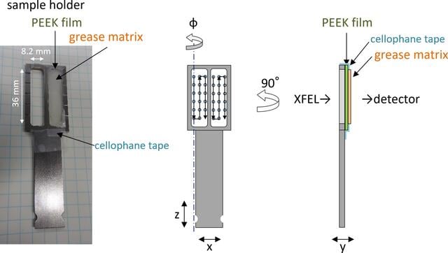 [Figure 1]