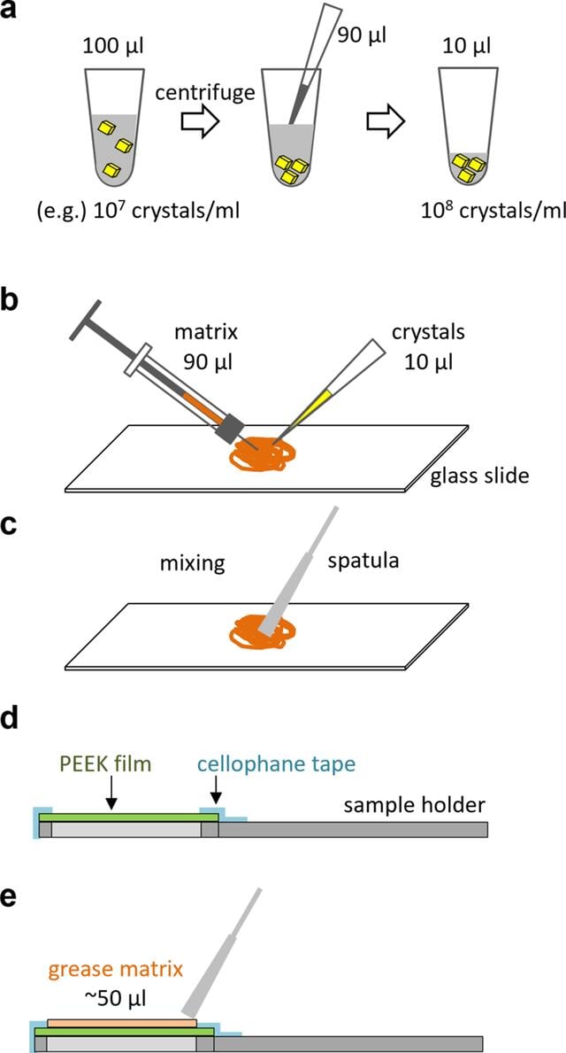 [Figure 2]