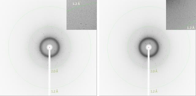 [Figure 3]