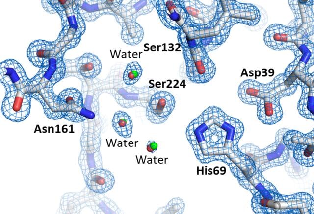 [Figure 5]