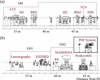 [Figure 1]