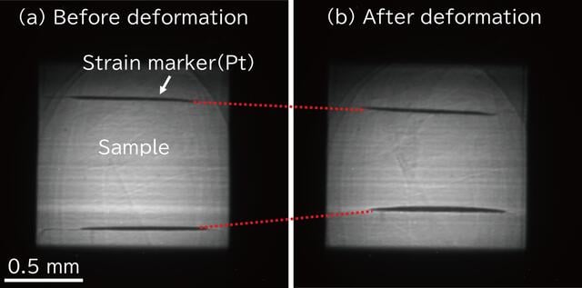 [Figure 7]